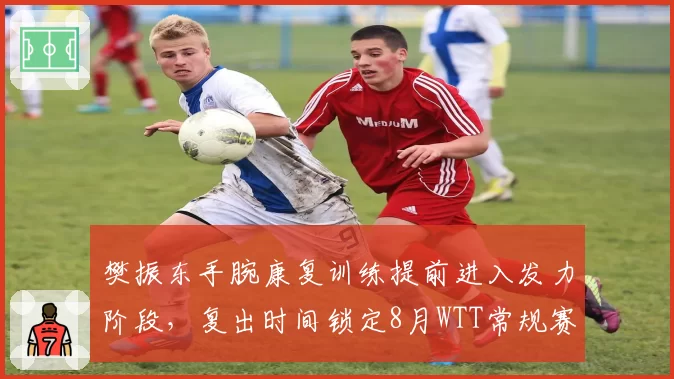 樊振东手腕康复训练提前进入发力阶段，复出时间锁定8月WTT常规赛