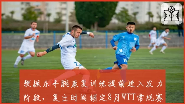 樊振东手腕康复训练提前进入发力阶段，复出时间锁定8月WTT常规赛